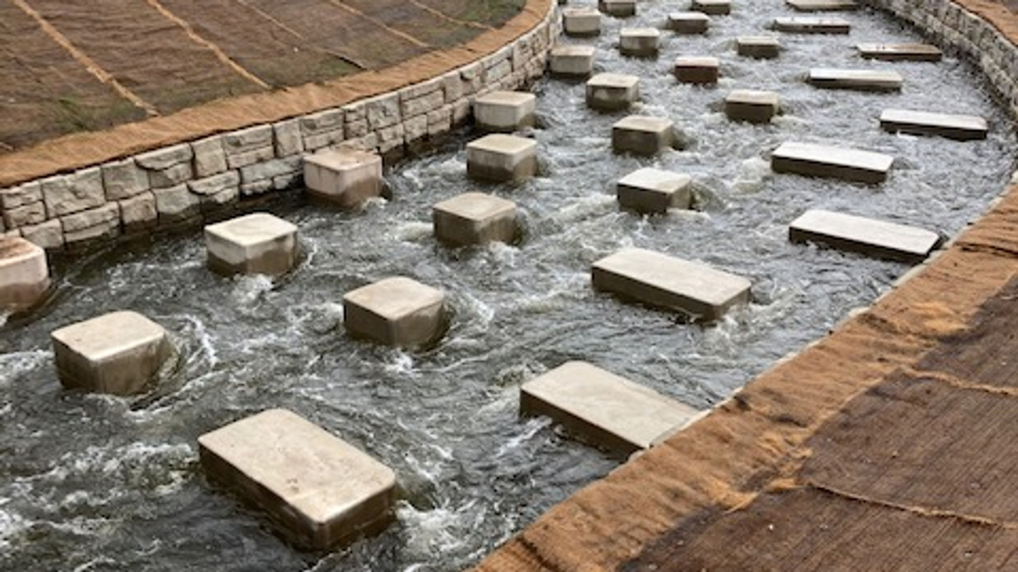 Bevere Fish Pass Opening